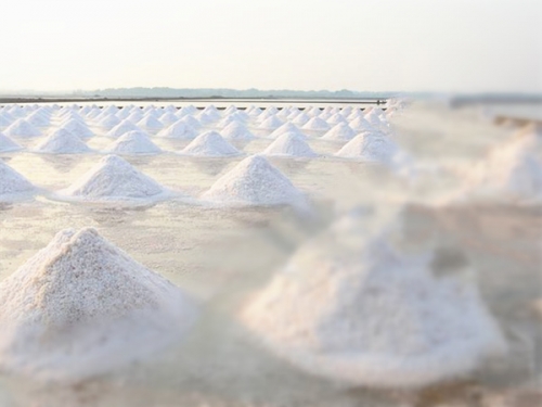工业盐生产基地环境